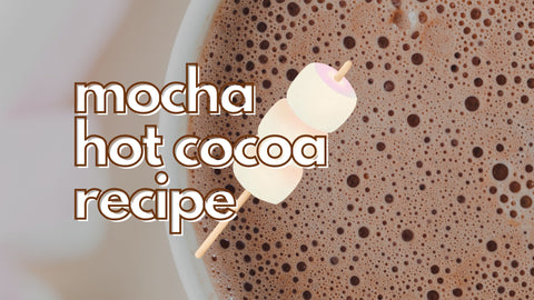 mocha hot cocoa coffee recipe - five star coffee roasters - coffee roasters raleigh nc