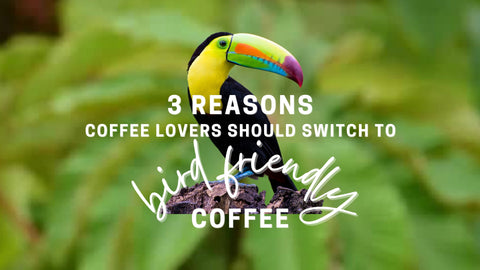 bird friendly coffee roaster