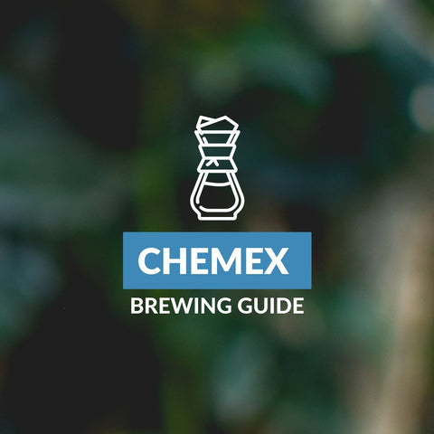 Brewing Guide: Chemex