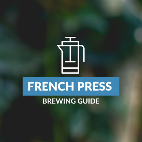 Brewing Guide: French Press