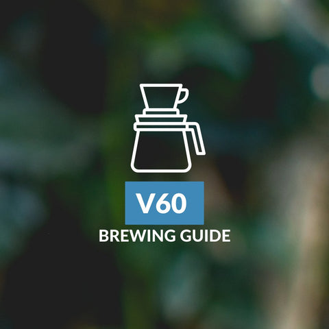 hario v60 pour over - coffee brewing guides - five star coffee roaster