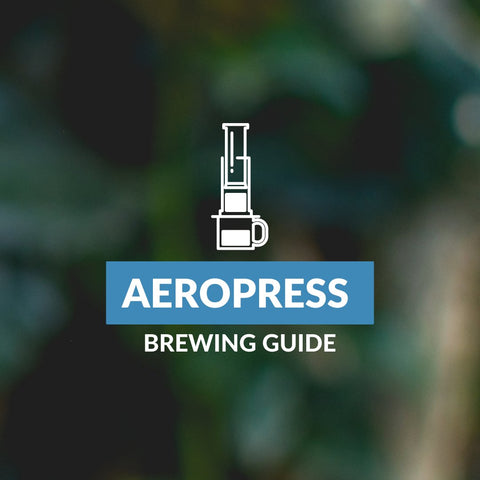 Brewing Guide: Aeropress