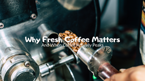 Why Fresh Coffee Matters - Five Star Coffee Roasters