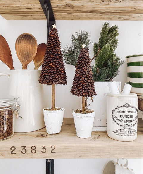 DIY Mini Coffee Christmas Trees