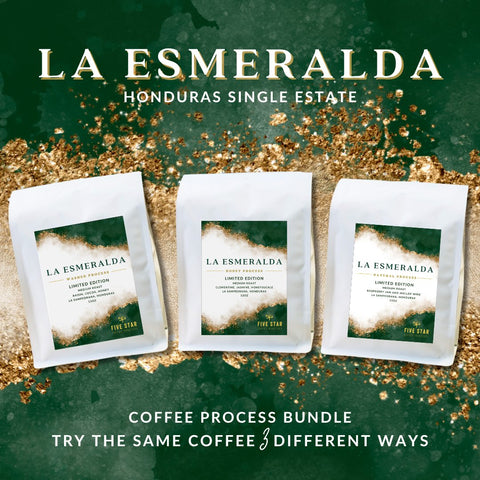 Process Trilogy - La Esmeralda - Honduras Single Estate
